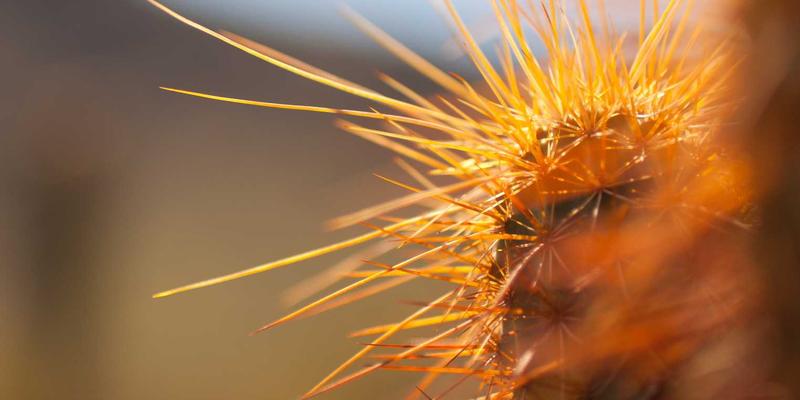 出租房智能锁选购指南：如何实现远程密码管理与租客权限分配