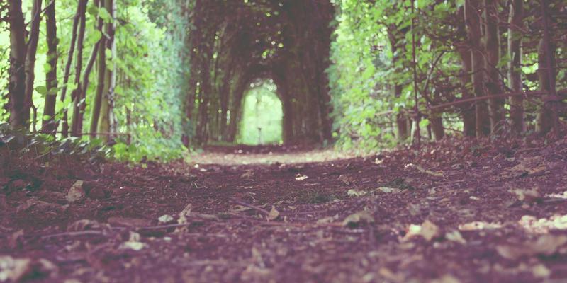 智能锁与家庭保险：安装认证锁具如何影响保费与理赔条款深度解读