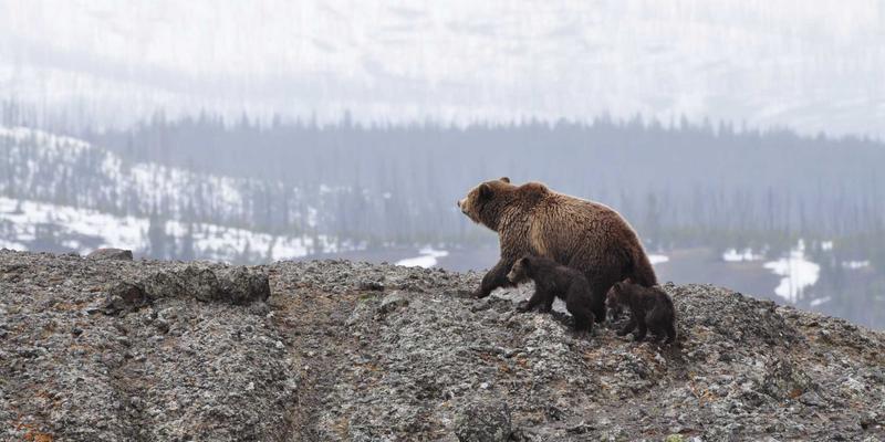 智能锁如何重塑商业安防格局?从三大经典案例看门禁系统升级路径