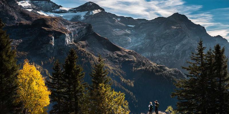 智能锁完全指南：从选购到安装，打造家庭安防的第一道防线