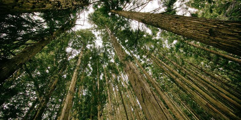 智能锁指纹识别技术演进：从光学到半导体再到指静脉，哪种更安全便捷？