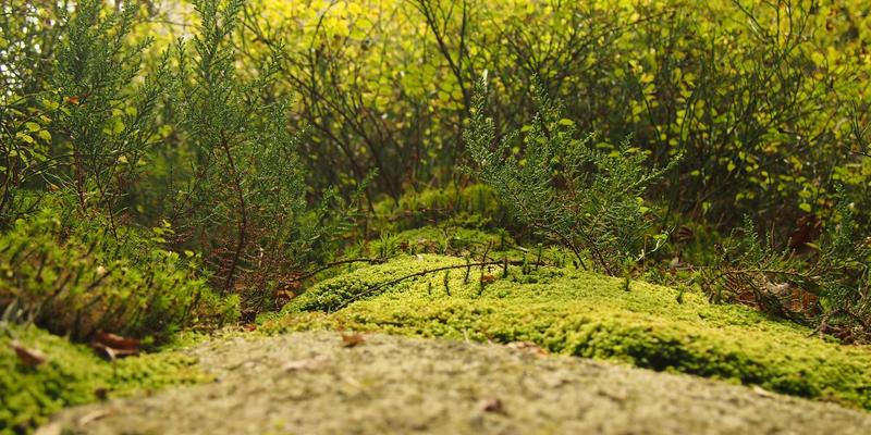 智能锁选购全攻略:融合监控摄像头,构建未来安防新体系