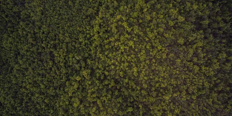 智能门锁联网安全深度解析：蓝牙、Zigbee与Wi-Fi，谁更能守护家庭安防？