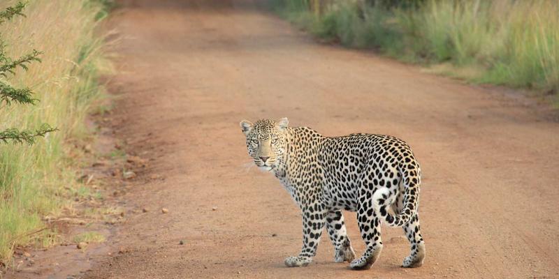 未来安防新趋势：智能门锁如何通过NFC与蓝牙技术重塑后疫情时代无接触通行