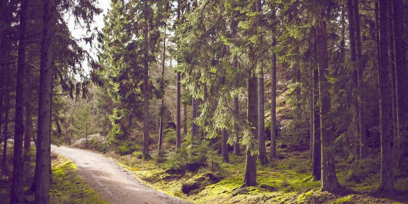 未来安防新选择：全自动推拉式与半自动执手式智能锁深度对比